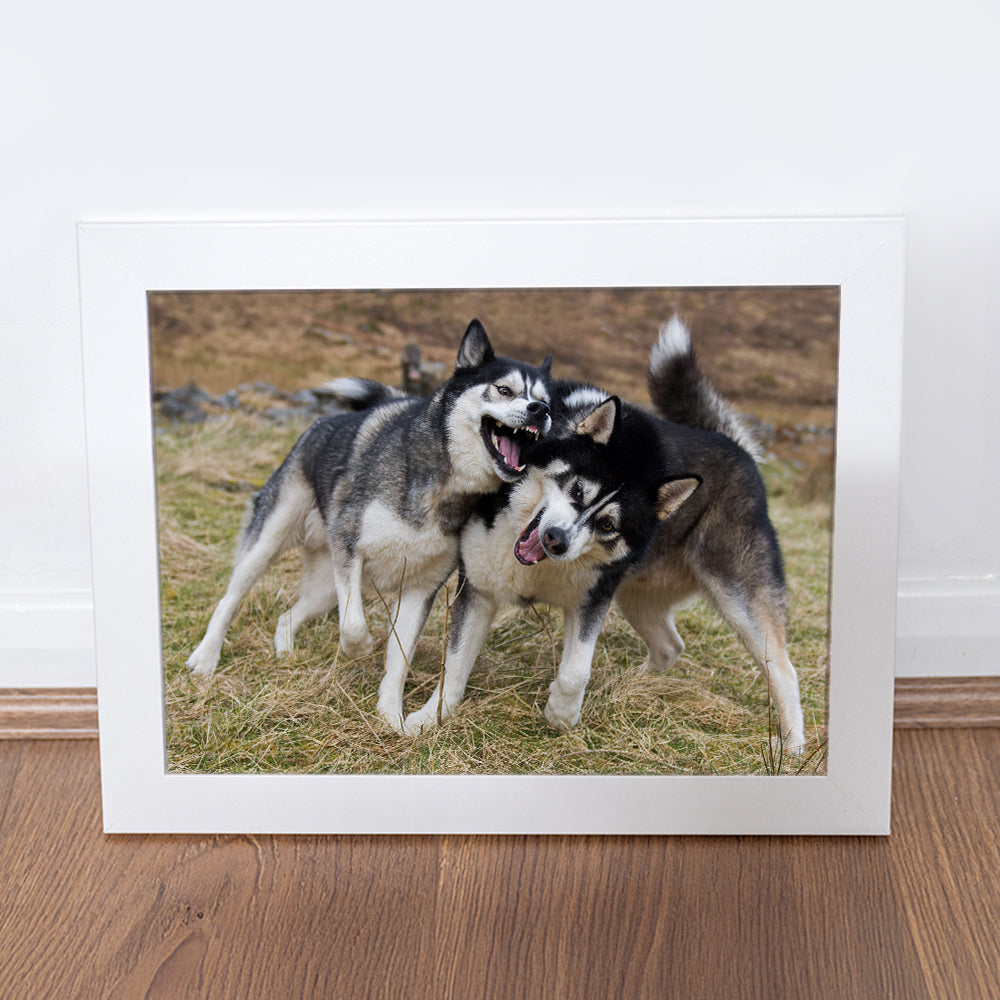 Photography Print - Grass Play