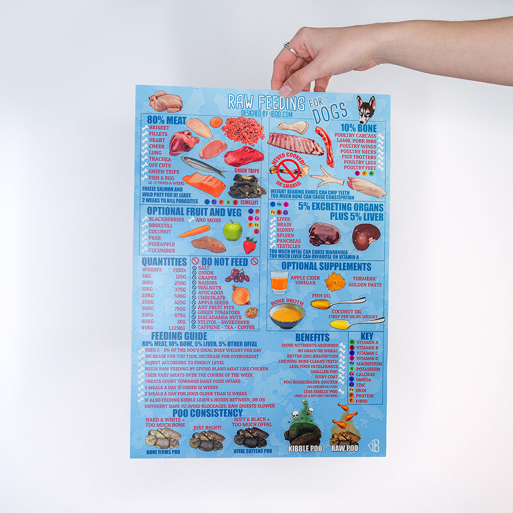 Poster – Raw Feeding Dogs – in a Nutshell