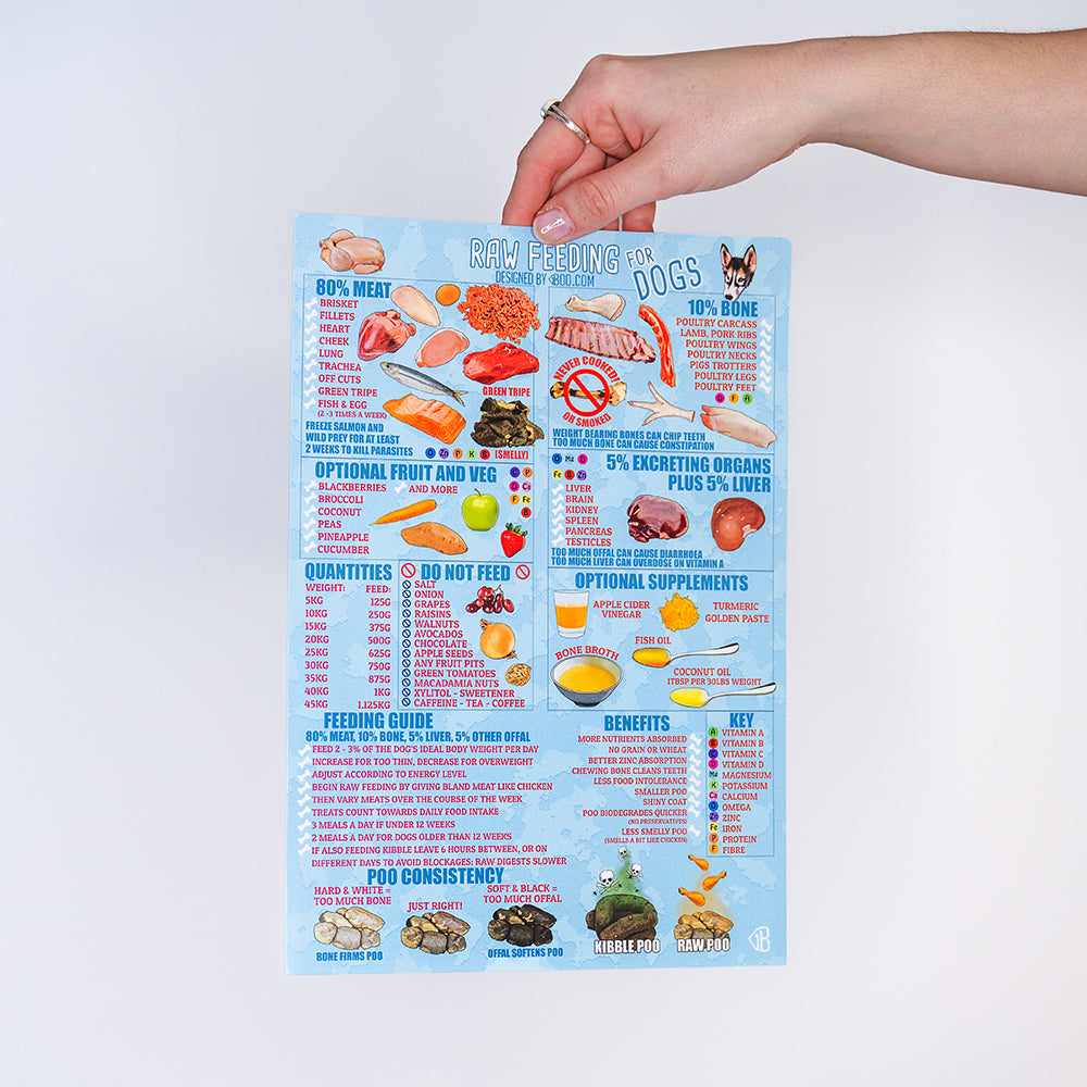 Poster – Raw Feeding Dogs – in a Nutshell
