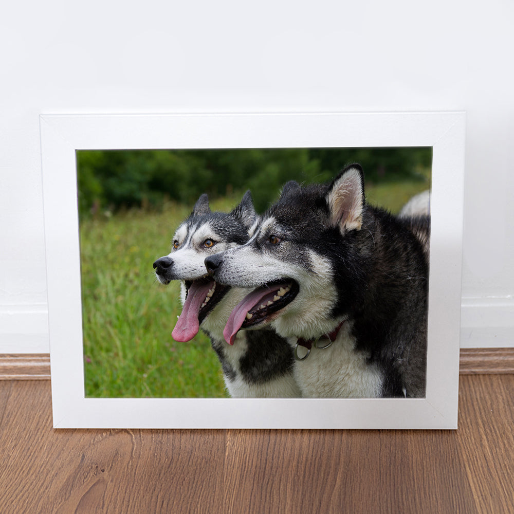 Photography Print - Happy Boys