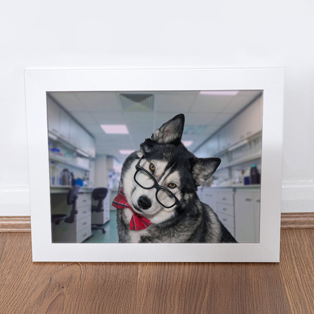 Photography Print - Clever Husky