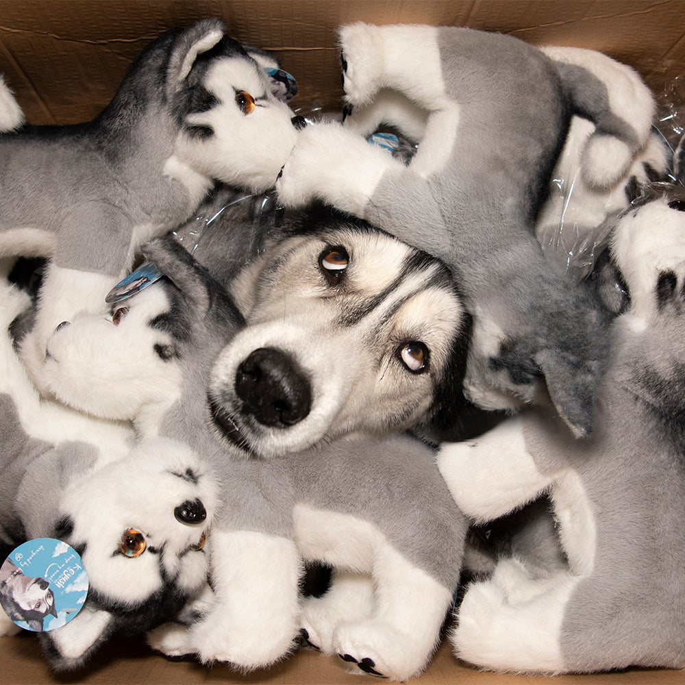 Silent K’eyush Plushie!