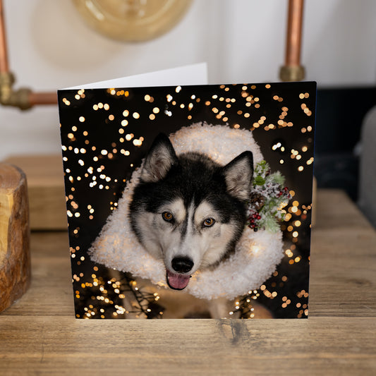 Cards - 4 Pack Husky Christmas Cards