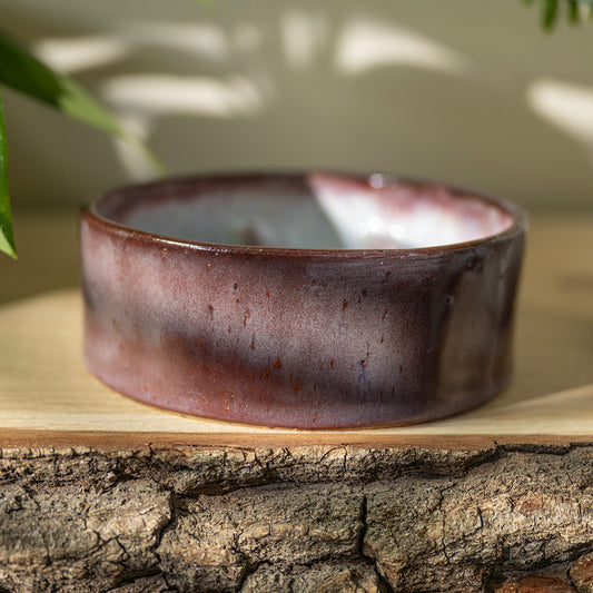 Dog Bowl - Slow Feed- Purple