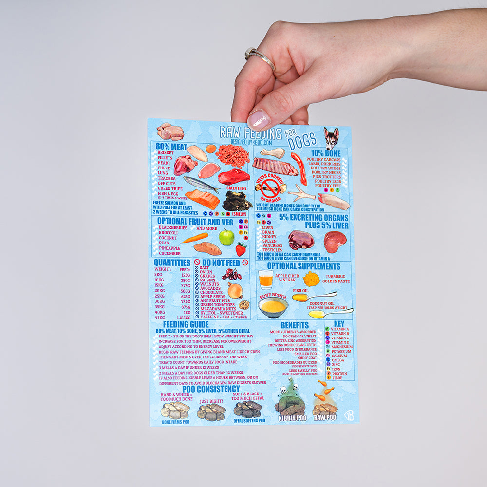 Poster – Raw Feeding Dogs – in a Nutshell