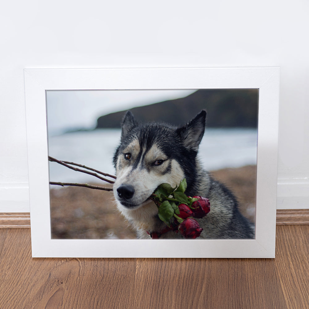 Photography Print - Roses