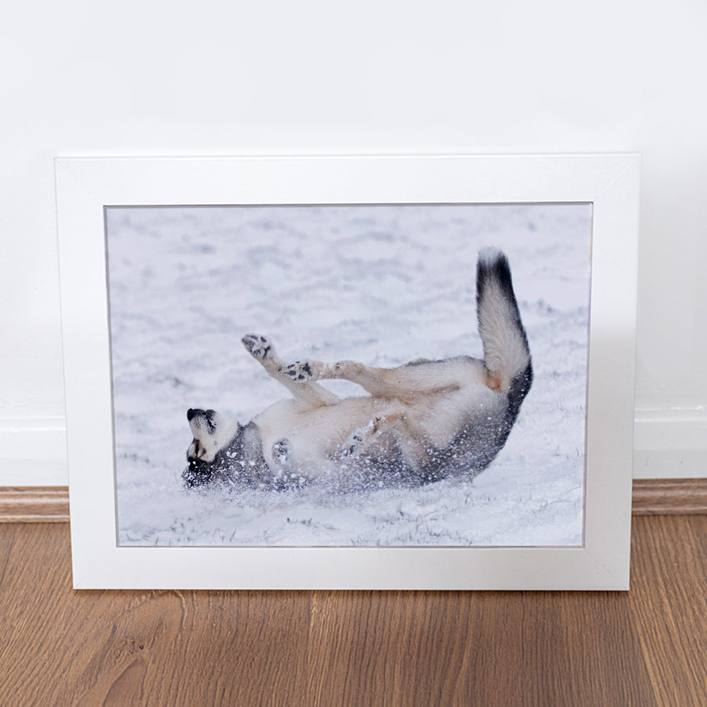 Photography Print - Snow Somersault