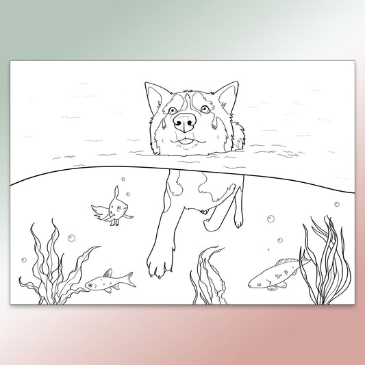 FREE Husky Colouring Pages - Downloadable