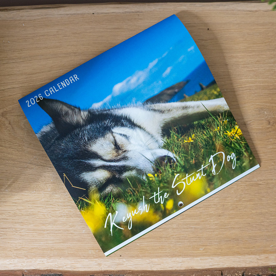 Calendar - 2026 – Designed by Boo