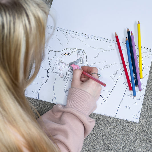 A4 Colouring Book - K’eyush The Stunt Dog
