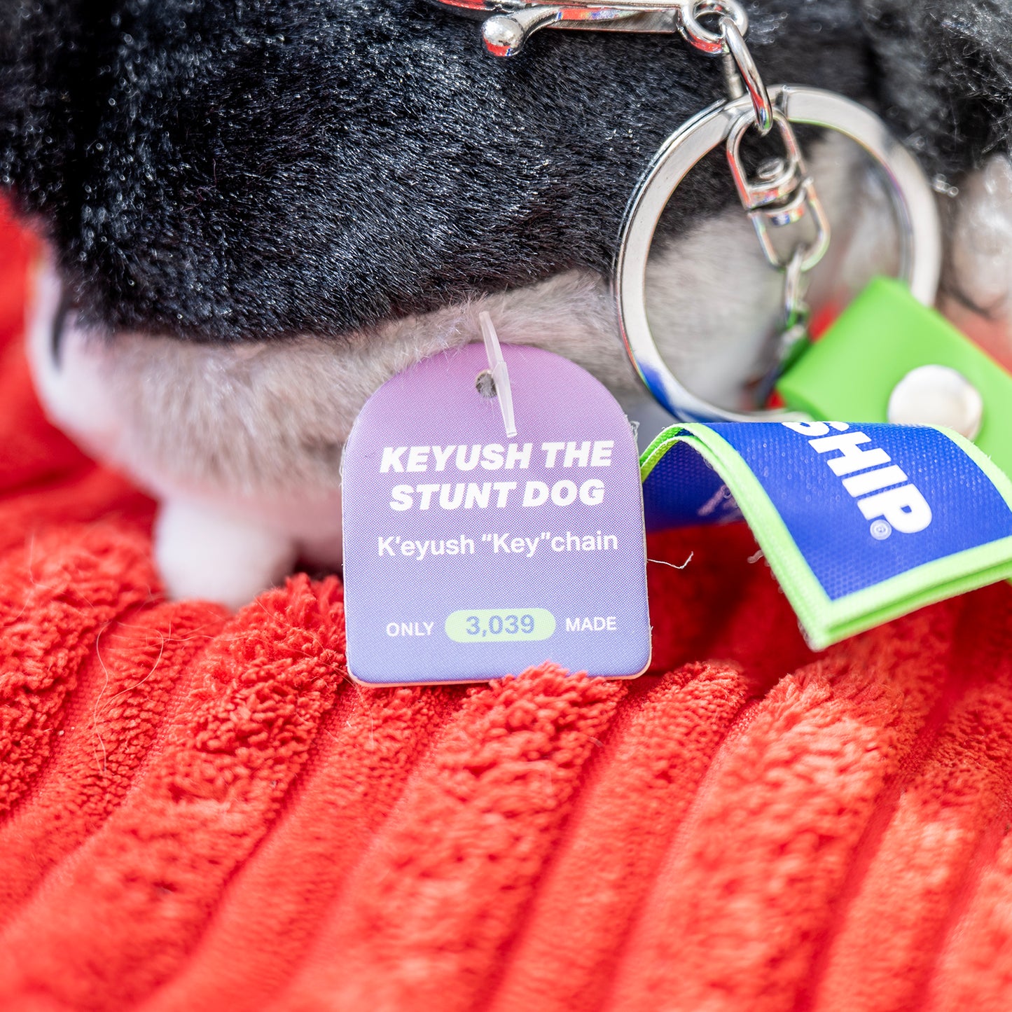 Key-Chain Plushie!