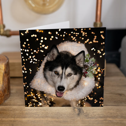 Cards - 4 Pack Husky Christmas Cards