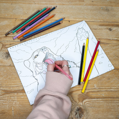 A4 Colouring Book - K’eyush The Stunt Dog