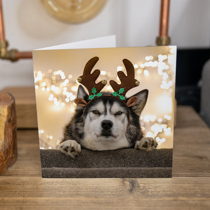Cards - 4 Pack Husky Christmas Cards