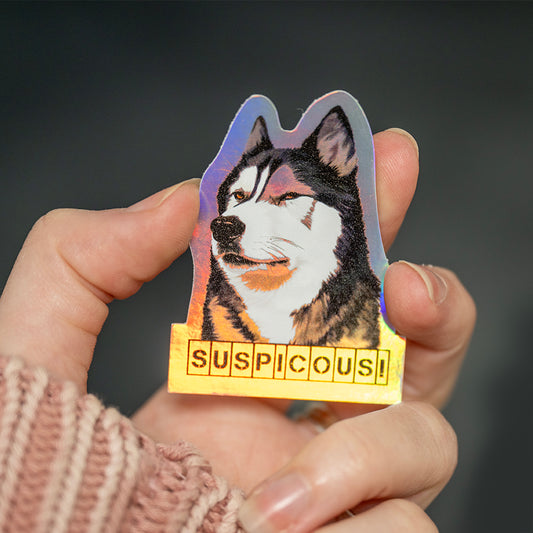 4 Rainbow Holo Stickers